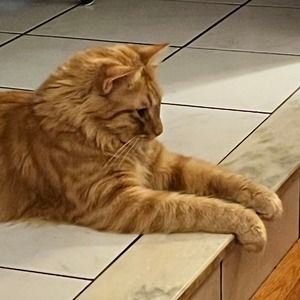 Meet your Posher, Bobby